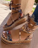 Unbeatable Deal Platforms From Bellewholesale Australia
